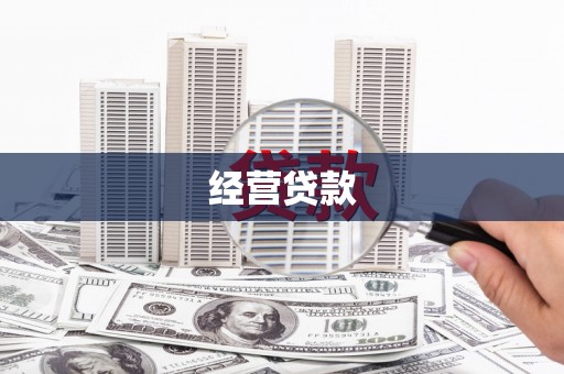 双台子经营贷款