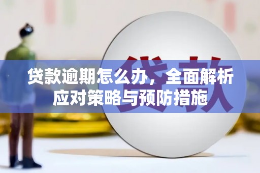 双台子贷款逾期怎么办，全面解析应对策略与预防措施