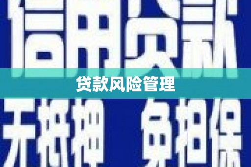 双台子贷款风险管理