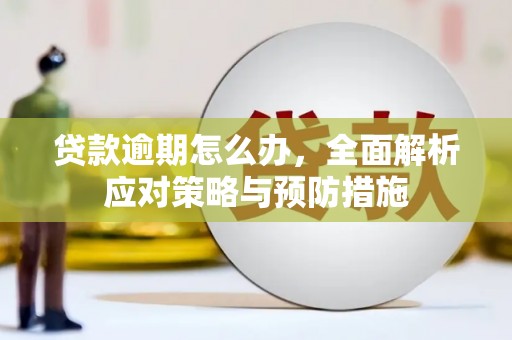 双台子贷款逾期怎么办，全面解析应对策略与预防措施