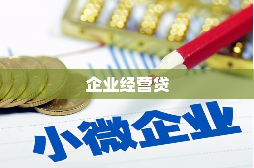 双台子企业经营贷