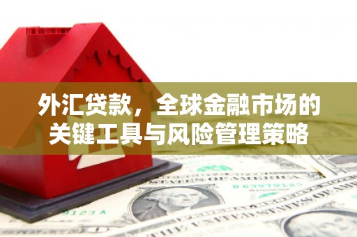 双台子外汇贷款，全球金融市场的关键工具与风险管理策略