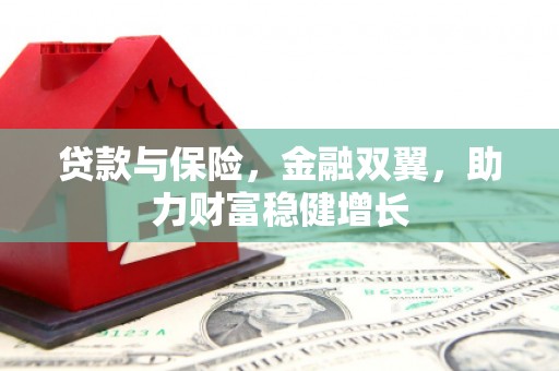 双台子贷款与保险，金融双翼，助力财富稳健增长