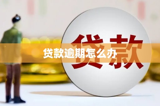 双台子贷款逾期怎么办