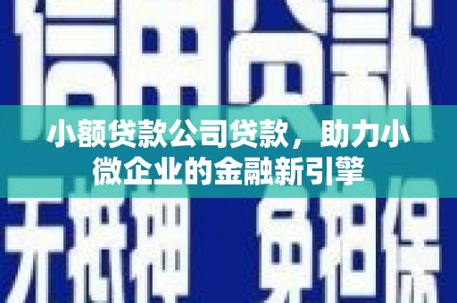 双台子小额贷款公司贷款，助力小微企业的金融新引擎