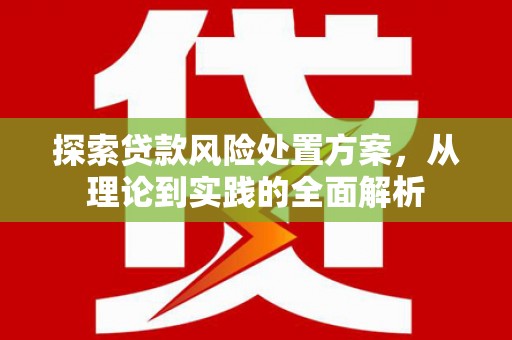 双台子探索贷款风险处置方案，从理论到实践的全面解析