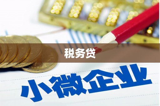 双台子税务贷