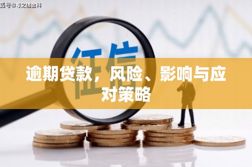 双台子逾期贷款，风险、影响与应对策略