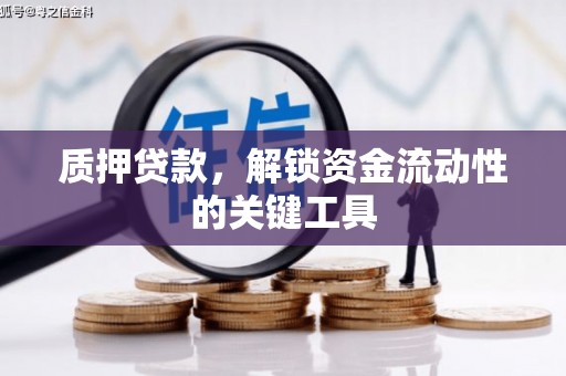 双台子质押贷款，解锁资金流动性的关键工具