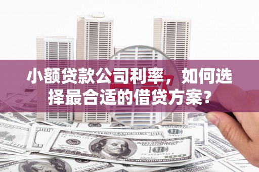 双台子小额贷款公司利率，如何选择最合适的借贷方案？