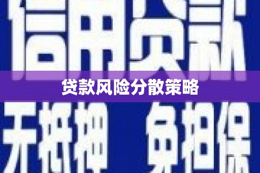 双台子贷款风险分散策略