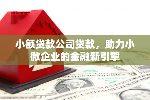 双台子小额贷款公司贷款，助力小微企业的金融新引擎