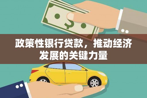 双台子政策性银行贷款，推动经济发展的关键力量