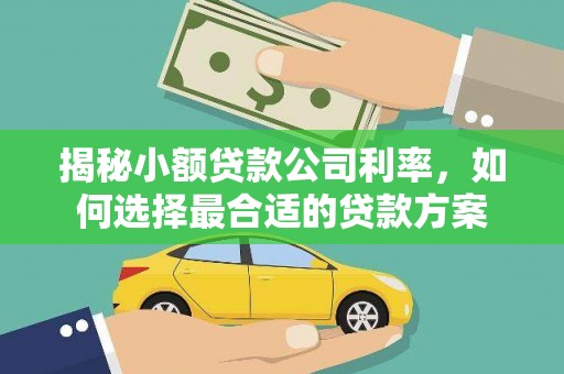 双台子揭秘小额贷款公司利率，如何选择最合适的贷款方案