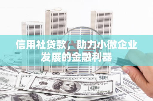 双台子信用社贷款，助力小微企业发展的金融利器