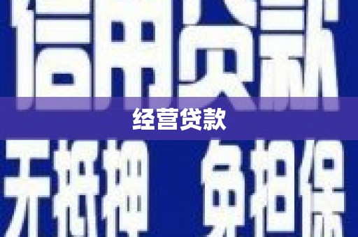 双台子经营贷款