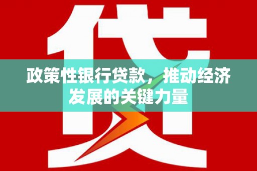 双台子政策性银行贷款，推动经济发展的关键力量