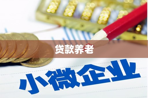 双台子贷款养老