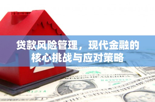 双台子贷款风险管理，现代金融的核心挑战与应对策略