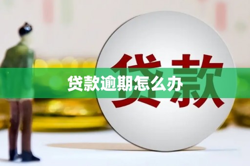 双台子贷款逾期怎么办