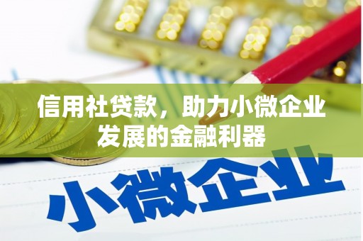 双台子信用社贷款，助力小微企业发展的金融利器