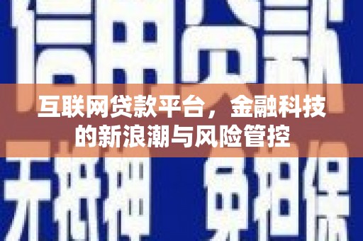 双台子互联网贷款平台，金融科技的新浪潮与风险管控