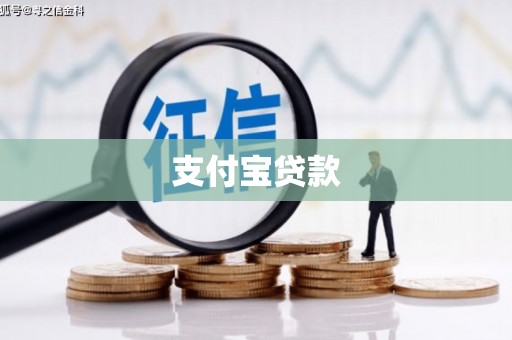 双台子支付宝贷款