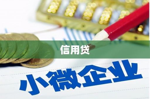 双台子信用贷