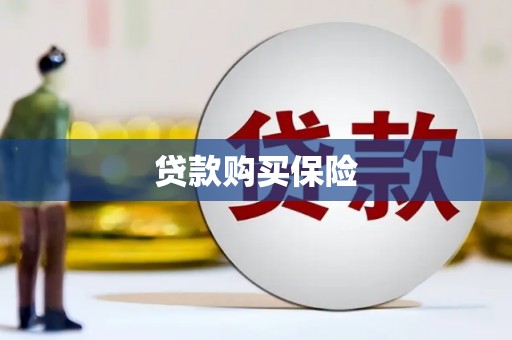 双台子贷款购买保险