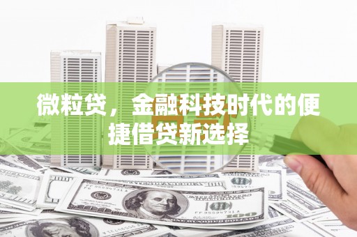 双台子微粒贷，金融科技时代的便捷借贷新选择