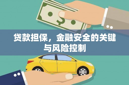 双台子贷款担保，金融安全的关键与风险控制