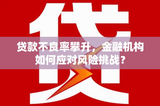 双台子贷款不良率攀升，金融机构如何应对风险挑战？