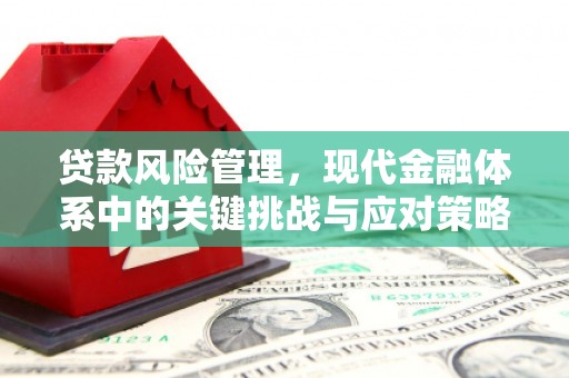 双台子贷款风险管理，现代金融体系中的关键挑战与应对策略