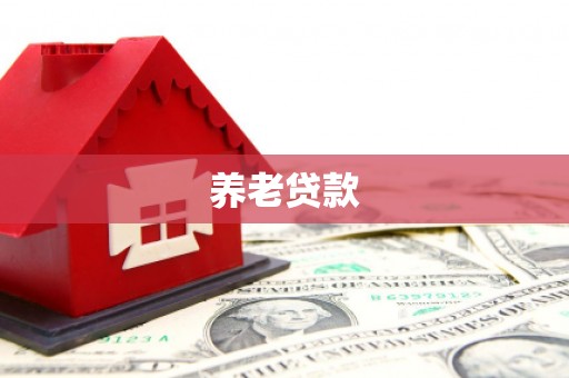 双台子养老贷款