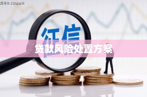 双台子贷款风险处置方案