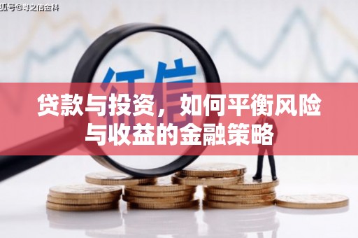 双台子贷款与投资，如何平衡风险与收益的金融策略