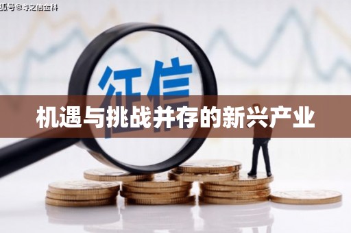 双台子机遇与挑战并存的新兴产业