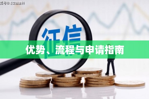 双台子优势、流程与申请指南