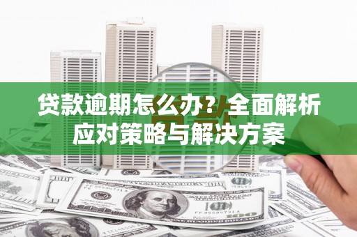 双台子贷款逾期怎么办？全面解析应对策略与解决方案