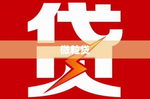 双台子微粒贷