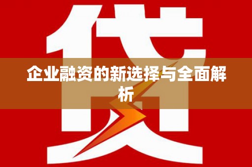 双台子企业融资的新选择与全面解析