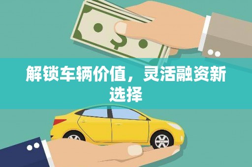 双台子解锁车辆价值，灵活融资新选择