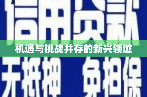 双台子机遇与挑战并存的新兴领域