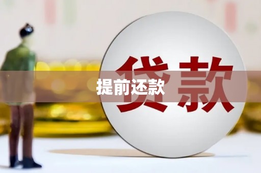 双台子提前还款