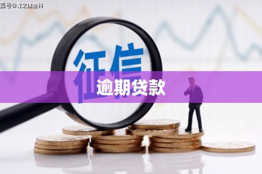 双台子逾期贷款