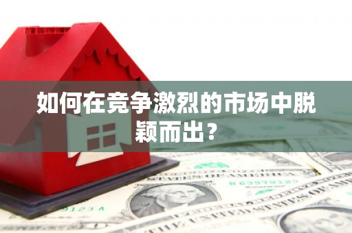 双台子如何在竞争激烈的市场中脱颖而出？