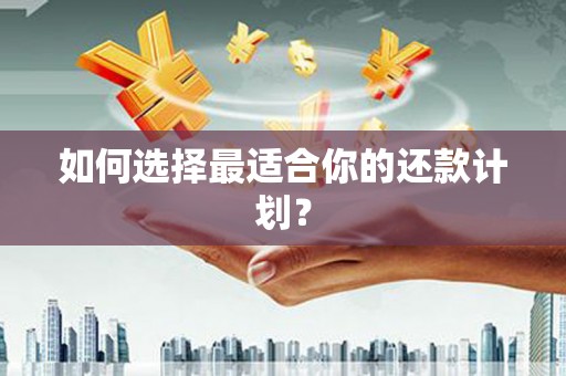 双台子如何选择最适合你的还款计划？